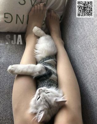 一区在线本道无码_吉吉电影在线观看
